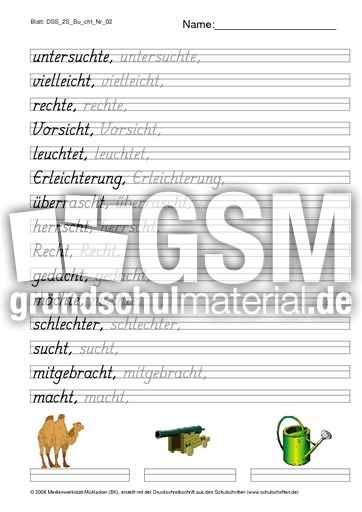 DSS_2S_Bu_cht_Nr_02.pdf